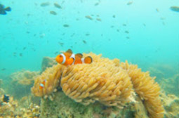 Explore Trang: ตรัง 4 วัน 3 คืน