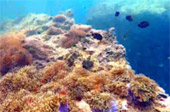 Explore Trang: ตรัง 4 วัน 3 คืน