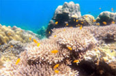 Explore Trang: ตรัง 4 วัน 3 คืน