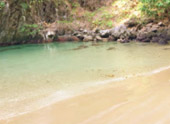 Explore Trang: ตรัง 4 วัน 3 คืน