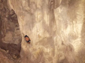 Explore Trang: ตรัง 4 วัน 3 คืน