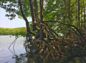 Explore Trang: ตรัง 4 วัน 3 คืน