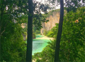 เร่ร่อน 4 จังหวัด นครศรีธรรมราช กระบี่ พัทลุง ตรัง