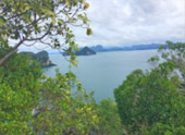 เร่ร่อน 4 จังหวัด นครศรีธรรมราช กระบี่ พัทลุง ตรัง