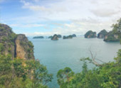 เร่ร่อน 4 จังหวัด นครศรีธรรมราช กระบี่ พัทลุง ตรัง