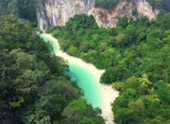 เร่ร่อน 4 จังหวัด นครศรีธรรมราช กระบี่ พัทลุง ตรัง