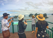 เร่ร่อน 4 จังหวัด นครศรีธรรมราช กระบี่ พัทลุง ตรัง