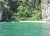 เร่ร่อน 4 จังหวัด นครศรีธรรมราช กระบี่ พัทลุง ตรัง