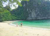 เร่ร่อน 4 จังหวัด นครศรีธรรมราช กระบี่ พัทลุง ตรัง