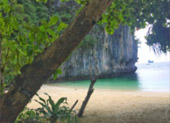 เร่ร่อน 4 จังหวัด นครศรีธรรมราช กระบี่ พัทลุง ตรัง