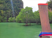 เร่ร่อน 4 จังหวัด นครศรีธรรมราช กระบี่ พัทลุง ตรัง