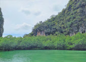 เร่ร่อน 4 จังหวัด นครศรีธรรมราช กระบี่ พัทลุง ตรัง