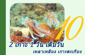 2 เกาะ 1 วัน เต็มวัน เหลาเหลียง เกาะตะเกียง