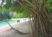เช่าเรือส่วนตัวเที่ยวเกาะยาว