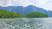 James Bond Island: ทัวร์วันเดียว