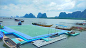 James Bond Island: ทัวร์วันเดียว