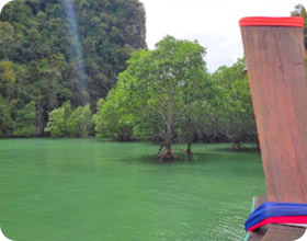 The Blue Lagoon: 1 วัน แสดงนำโดยตัวท่านเอง The Blue Lagoon: 1 วัน แสดงนำโดยตัวท่านเอง